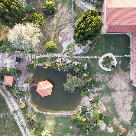 Villa Garden Залаэгерсег Экстерьер фото